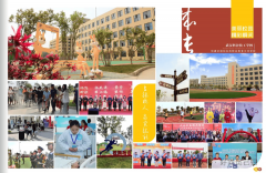 学生可毛病案例阐发